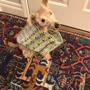 Meet your Posher, Charlene